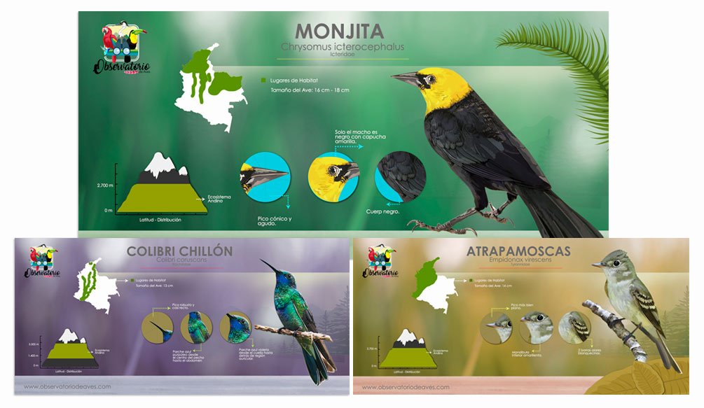 diseño web