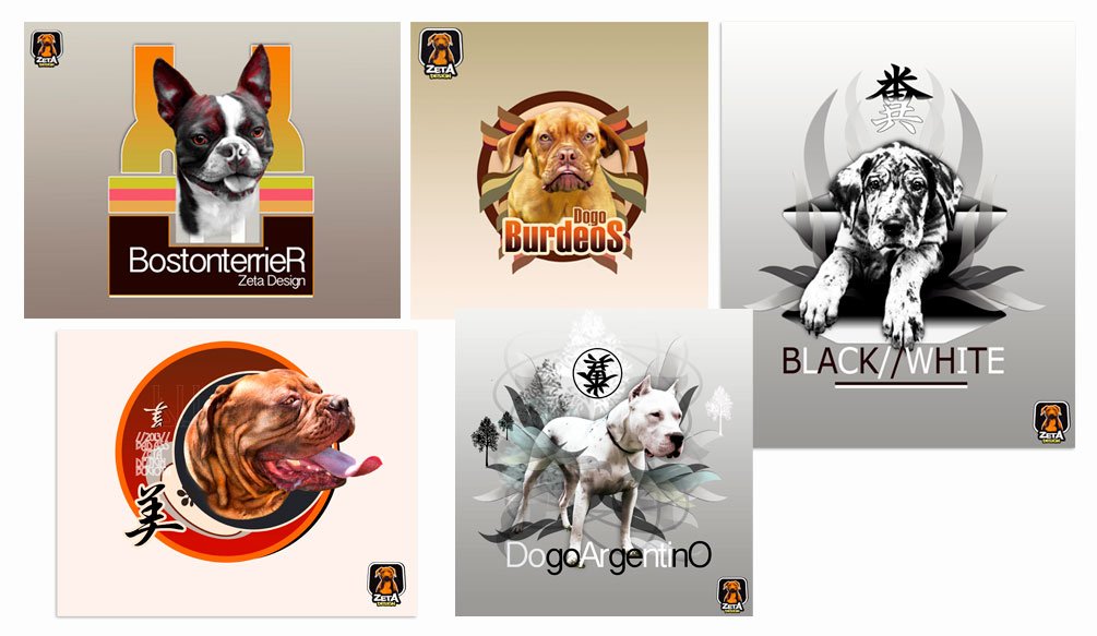 diseño grafico